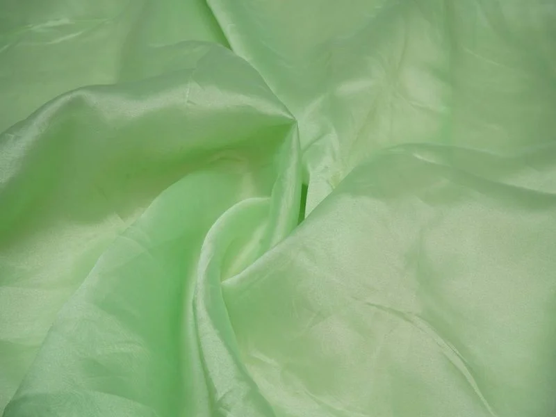 Pale Green Plain Viscose Organza Fabric